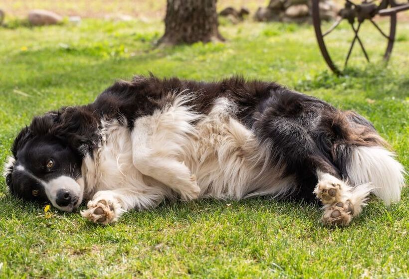 فندق Agriturismo Pozzo Fiorito