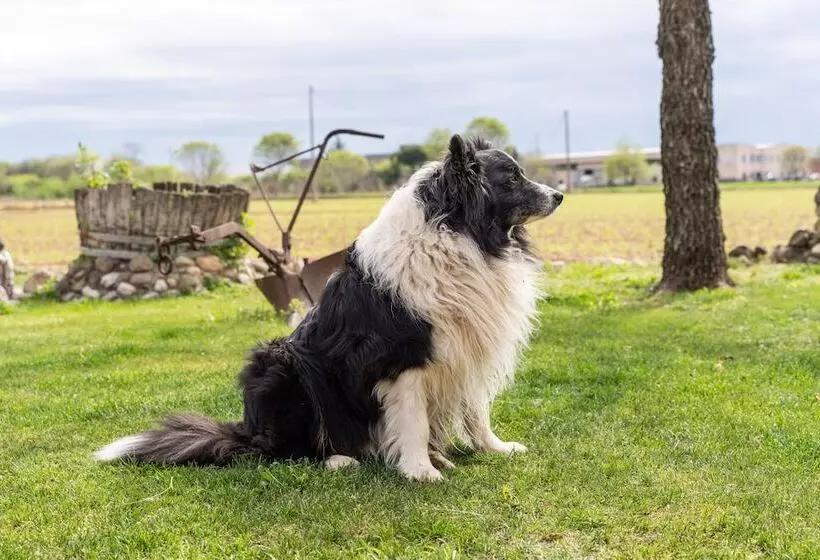 Hotelli Agriturismo Pozzo Fiorito