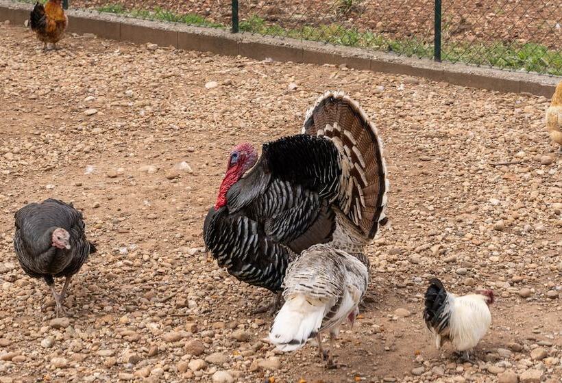 فندق Agriturismo Pozzo Fiorito