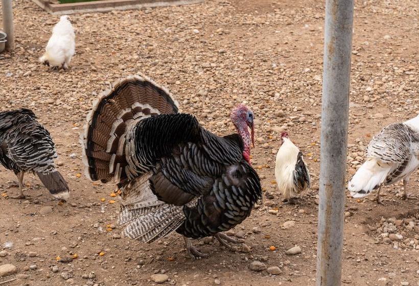 فندق Agriturismo Pozzo Fiorito