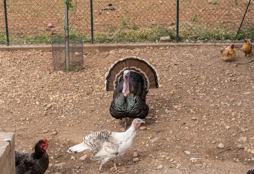 فندق Agriturismo Pozzo Fiorito