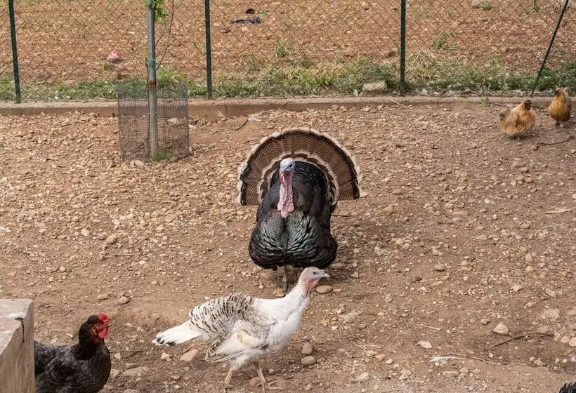 Hotelli Agriturismo Pozzo Fiorito