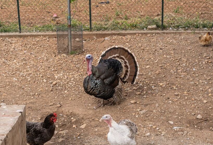 فندق Agriturismo Pozzo Fiorito