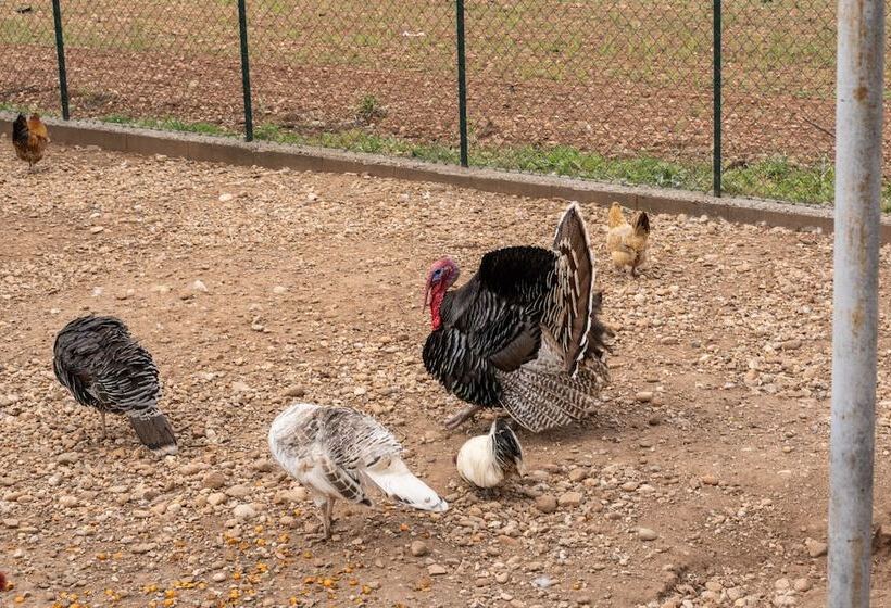 فندق Agriturismo Pozzo Fiorito