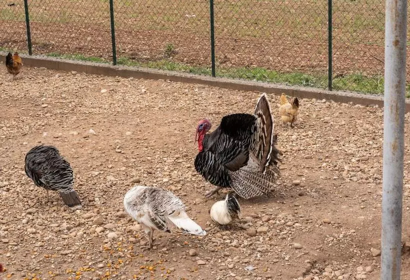 Hotelli Agriturismo Pozzo Fiorito