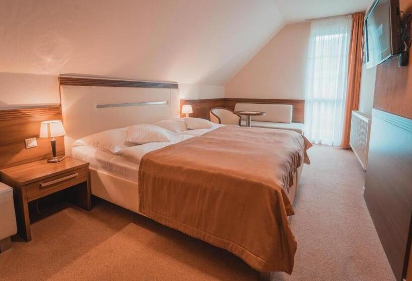 Отель Dom Zdravia   Kúpele Pieniny