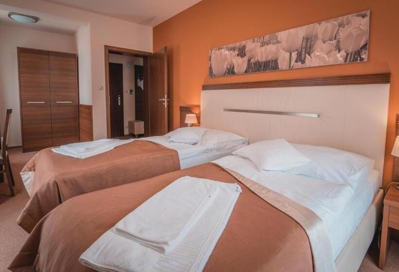 Отель Dom Zdravia   Kúpele Pieniny