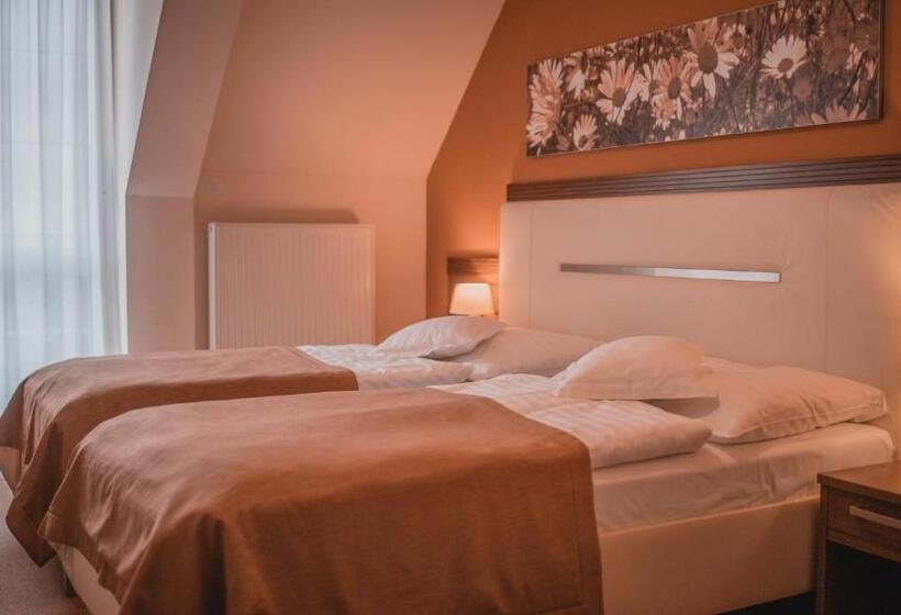 Отель Dom Zdravia   Kúpele Pieniny