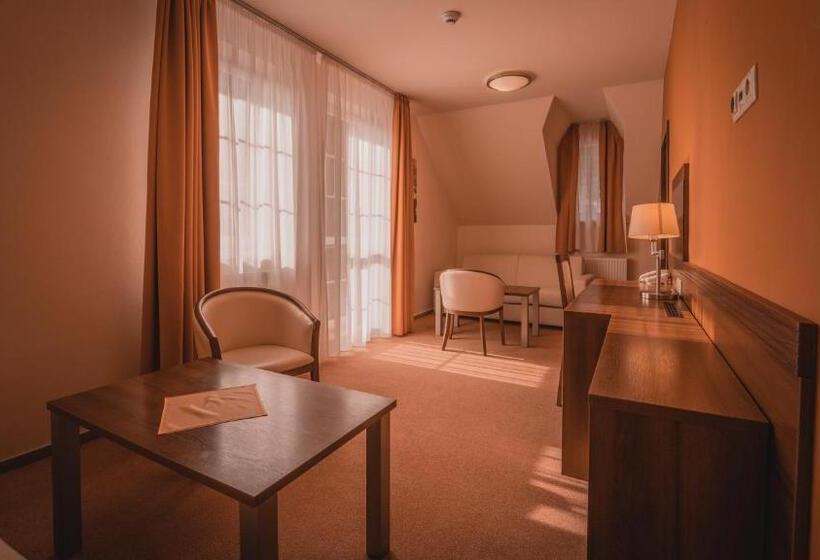 Отель Dom Zdravia   Kúpele Pieniny