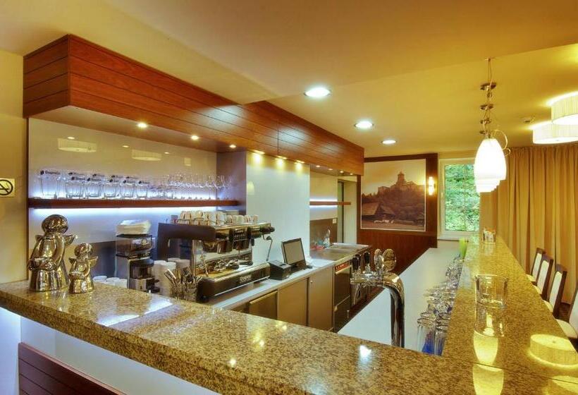 Отель Dom Zdravia   Kúpele Pieniny