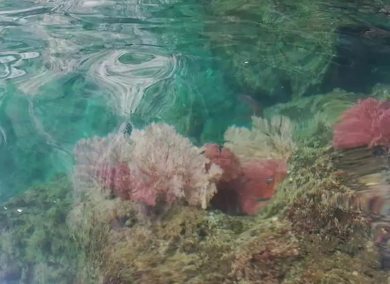 Majatalo Cashew Nut Bungalow, Ko Mook