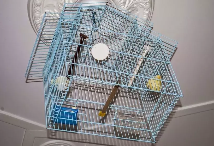 Be My Guest Lisboa Hostel