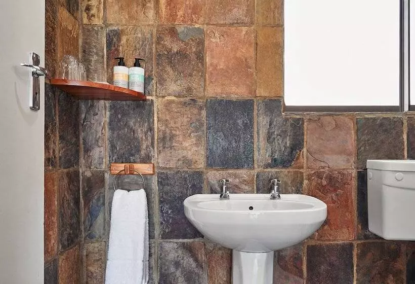 酒店 Lionsrock Big Cat Sanctuary