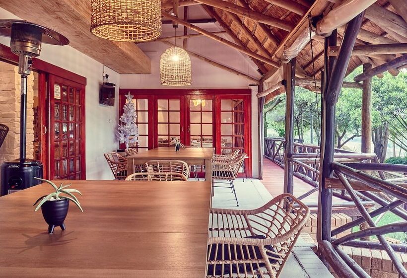 酒店 Lionsrock Big Cat Sanctuary