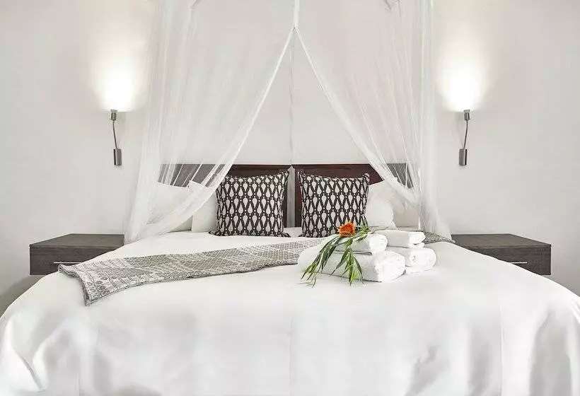 酒店 Lionsrock Big Cat Sanctuary