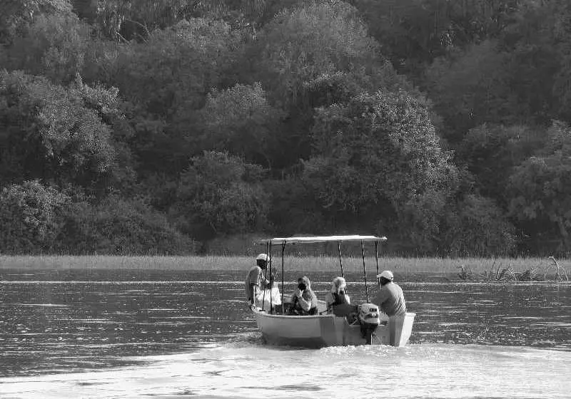 Hotel Selous Wilderness Camp