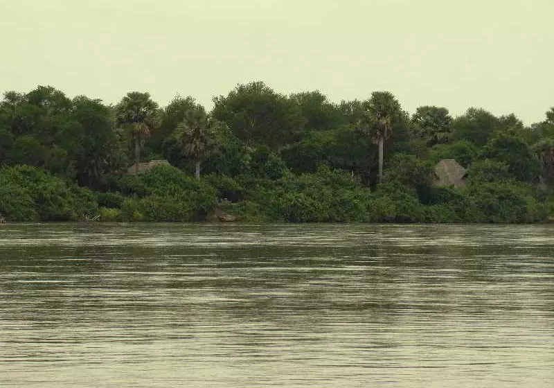 Hotel Selous Wilderness Camp