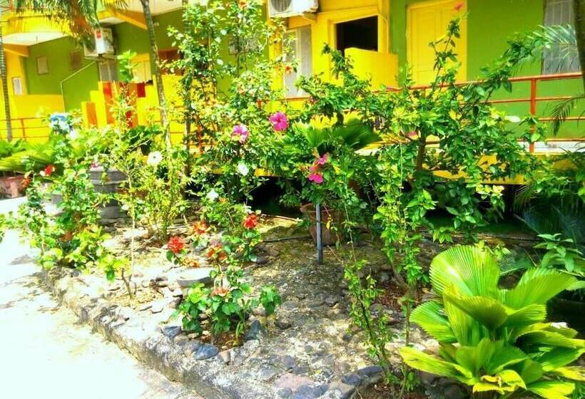 Szálloda Wavelet Beach Resort