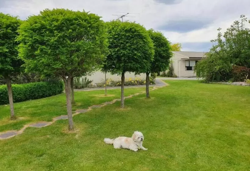 モーテル U Studios Masterton