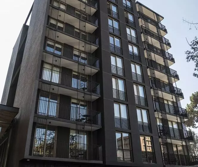 Hotelli Almasur Providencia