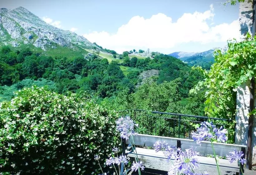 هتل Posada Del Valle