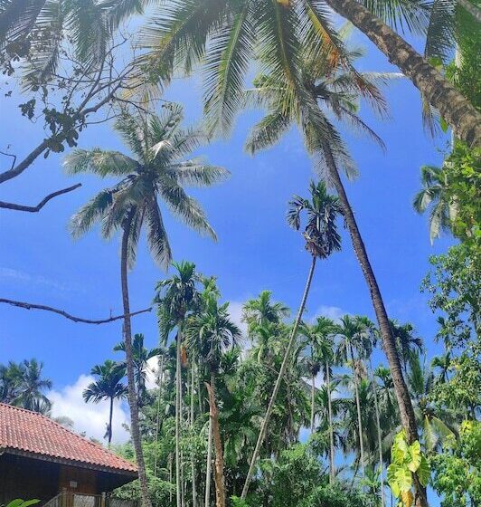 בית מלון כפרי S Ekar Pinang Langkawi