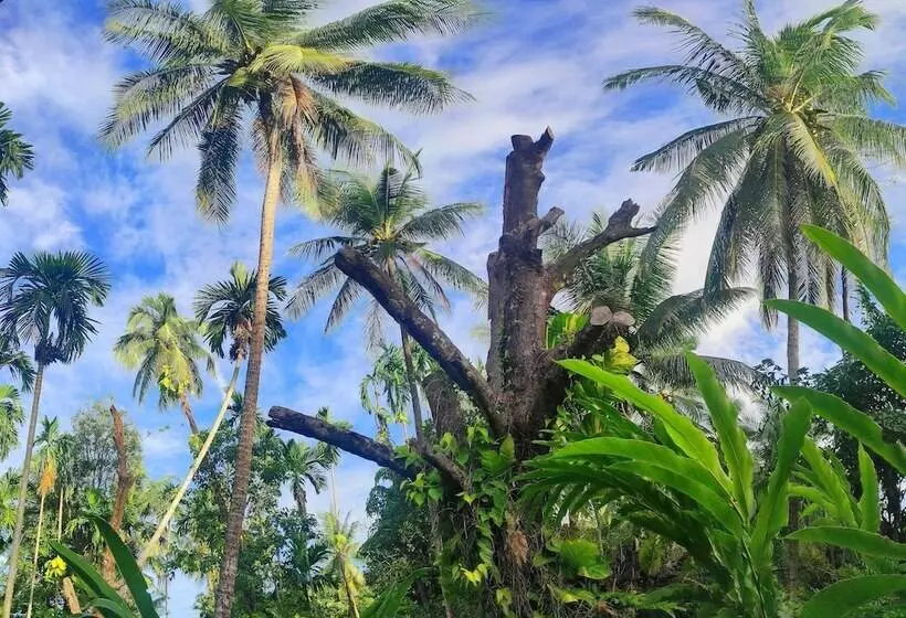 Hotelli S Ekar Pinang Langkawi