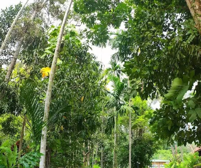 Hotelli S Ekar Pinang Langkawi