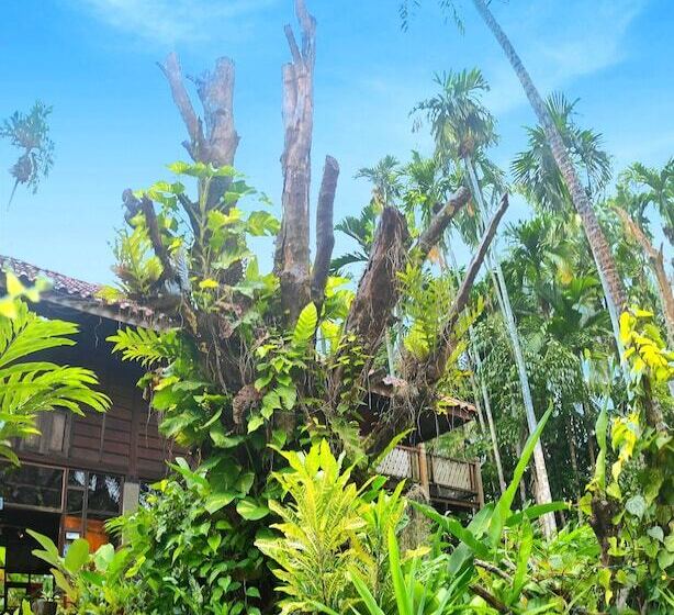 בית מלון כפרי S Ekar Pinang Langkawi