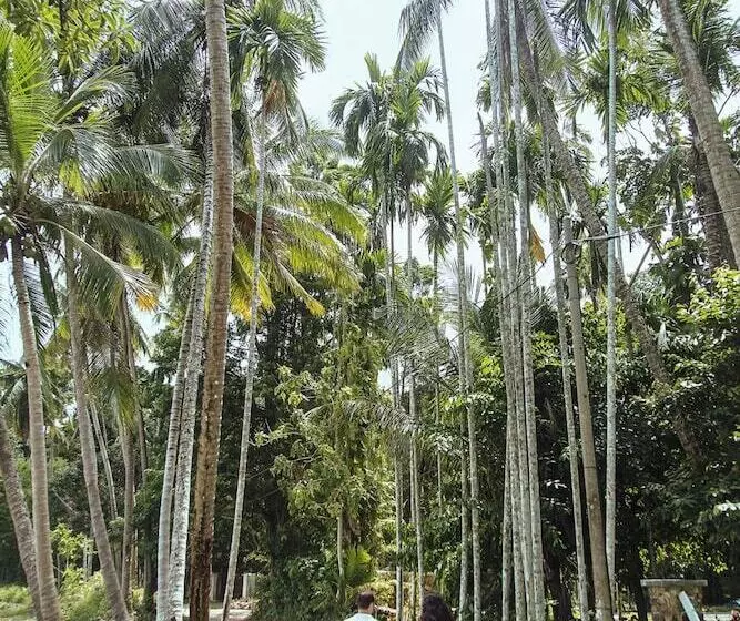 Hotelli S Ekar Pinang Langkawi