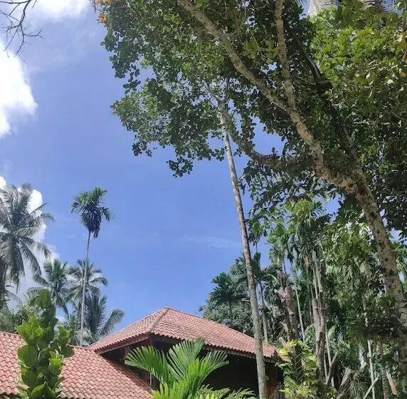 Hotelli S Ekar Pinang Langkawi