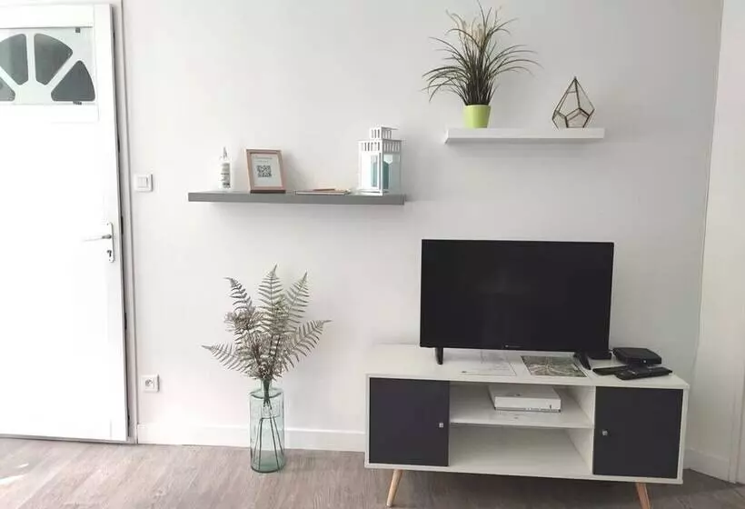 Les Insolites De Champeix