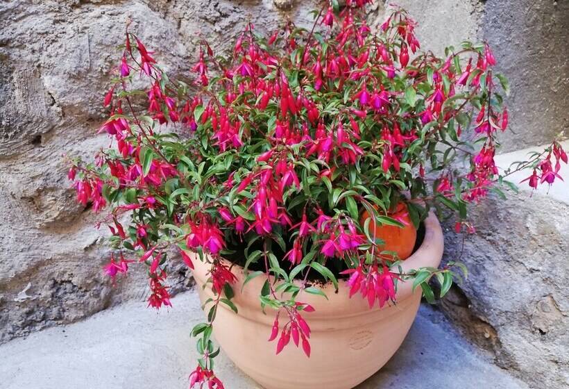 Les Insolites De Champeix