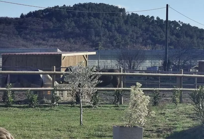 Majatalo La Petite Plaine