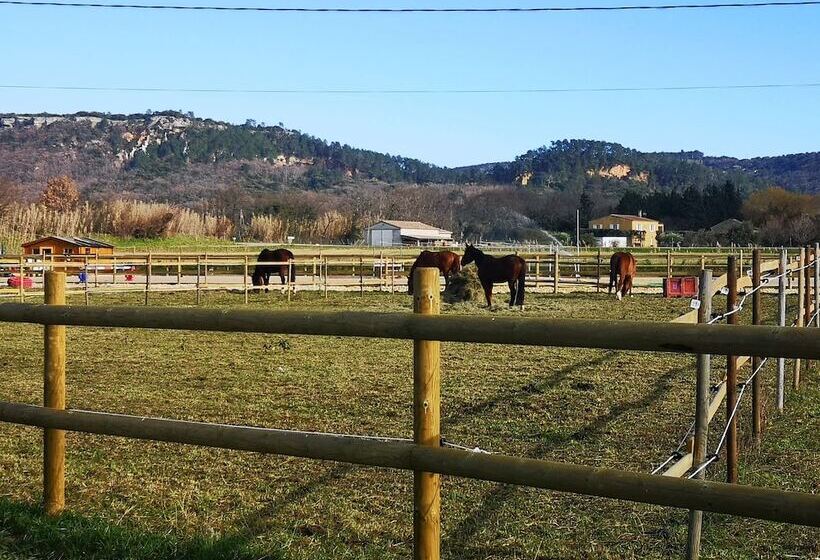 פנסיון La Petite Plaine