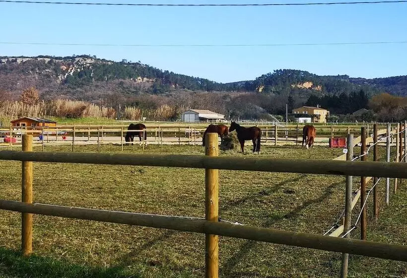 Majatalo La Petite Plaine