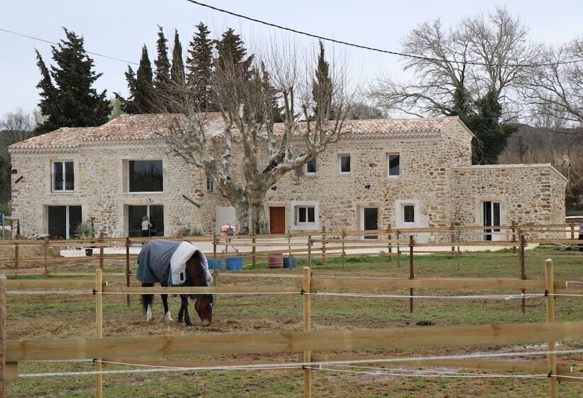 פנסיון La Petite Plaine