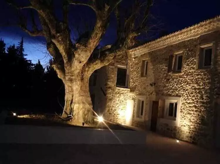 Majatalo La Petite Plaine