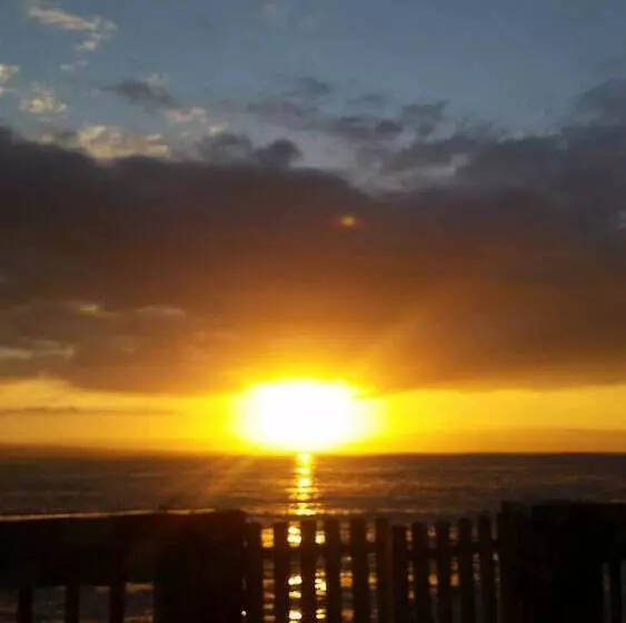 Majatalo Mdf Beach Resort And Day Tours