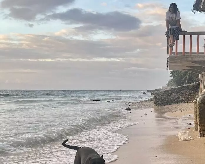 Majatalo Mdf Beach Resort And Day Tours