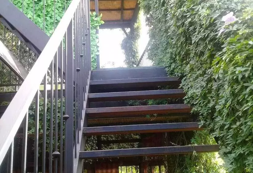 تختخواب و صبحانه Rancha Azul Inn