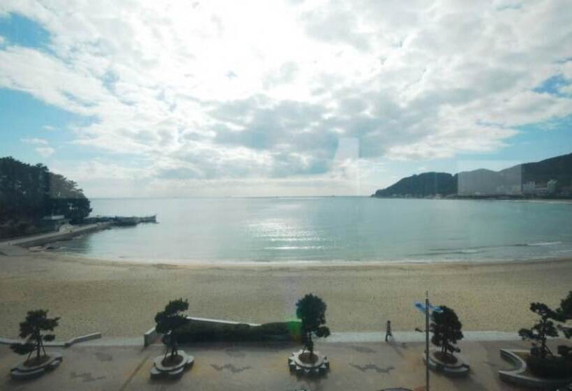 بنسيون Hoho House Songjeong