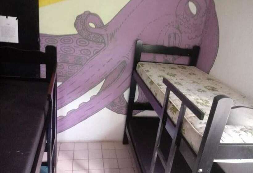 Full Sail Hostel Fortaleza