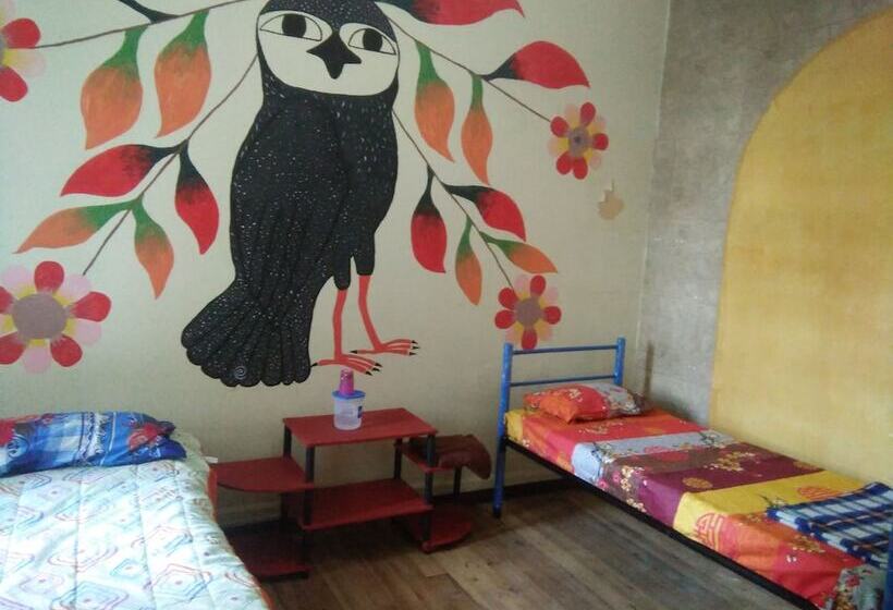 Krishna Hostal Hostel