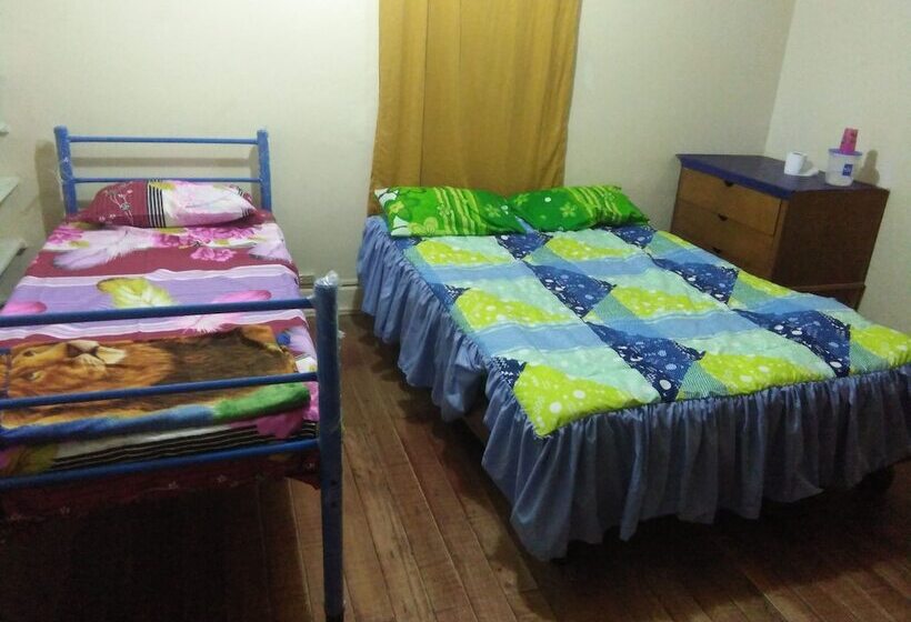 Krishna Hostal Hostel