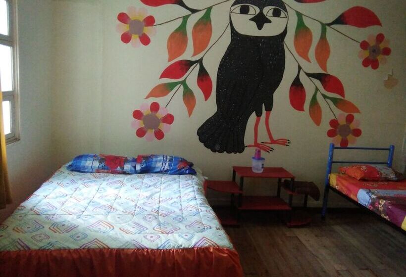 Krishna Hostal Hostel