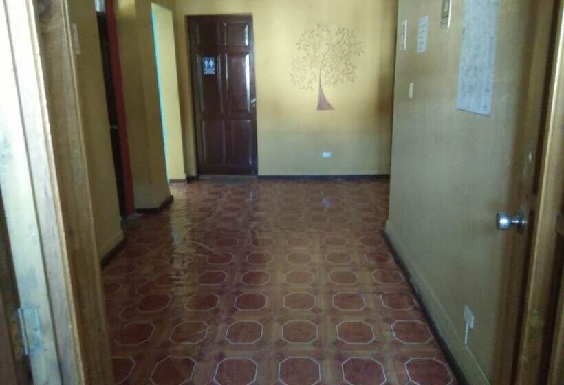 Krishna Hostal Hostel