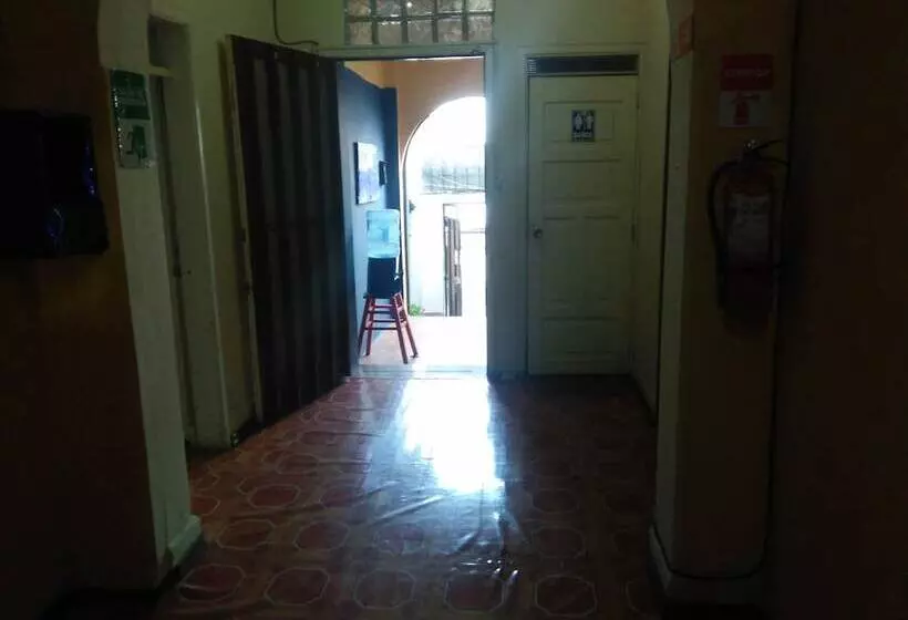 Krishna Hostal   Hostel