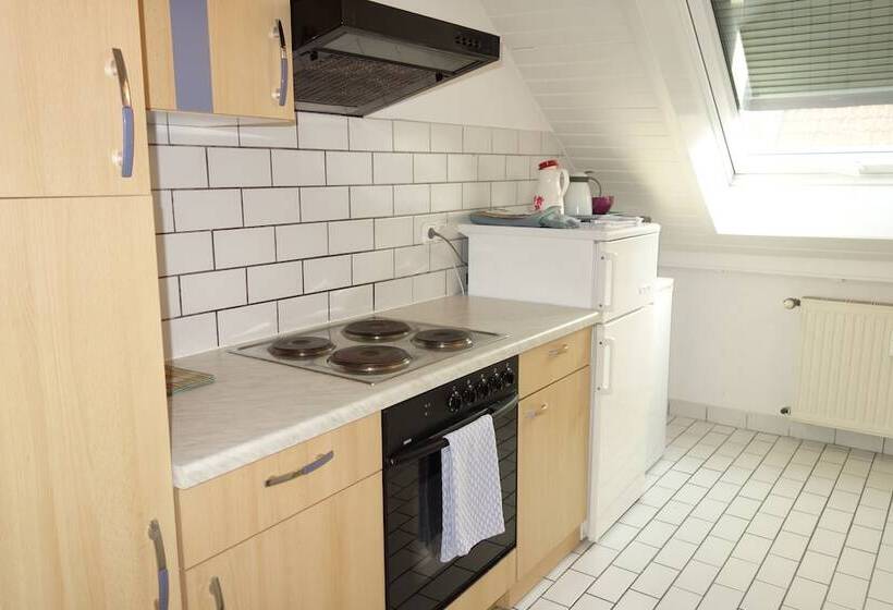 Tolstov Hotels Large 3 Room Apartment