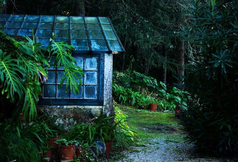 Almáa Sintra Hostel